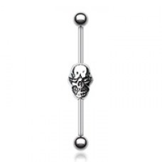 Skull Fury Vertical Industrial Barbell