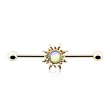 Golden Revo Sun Industrial Barbell