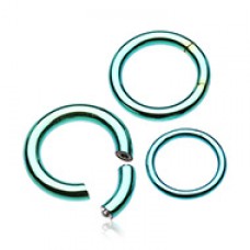 Colorline PVD Segmented Captive Bead Ring