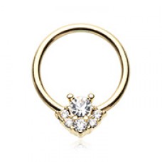 Golden Posh CZ Steel Captive Bead Ring