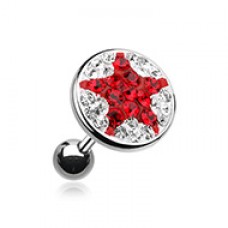 Shining Star Multi-Gem Cartilage Tragus Earring