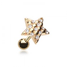 Golden Star Multi-Gem Cartilage Tragus Earring