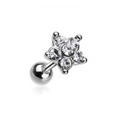 Starburst Sparkle Flower Cartilage Tragus Earring