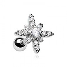 Dainty Twinkle Star Cartilage Tragus Earring