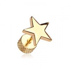 Golden Nova Star Steel Fake Plug 