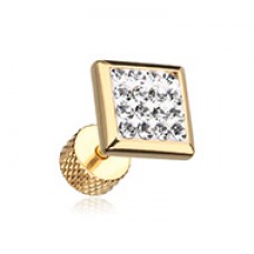 Golden Square Multi-Sprinkle Dot Multi Gem Steel Fake Plug 