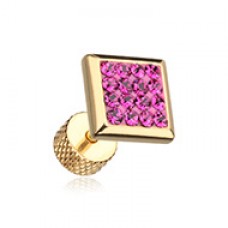 Golden Square Multi-Sprinkle Dot Multi Gem Steel Fake Plug 