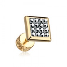 Golden Square Multi-Sprinkle Dot Multi Gem Steel Fake Plug 