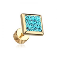 Golden Square Multi-Sprinkle Dot Multi Gem Steel Fake Plug 