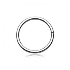 Basic Steel Bendable Nose Hoop