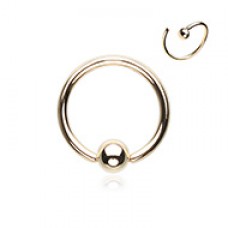 Golden CBR Style Bendable Steel Nose Hoop