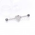 Balerion Jeweled Eye Dragon Prong Set Industrial Barbell