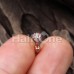Rose Gold Full Dome Pave Cartilage Tragus Earring