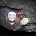 Rose Gold Illuminating Moonstone Steel Fake Plug