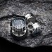 Glow in the Dark Zebra Steel Fake Plug with O-Rings