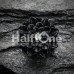 Charming Chrysanthemum Flower Single Flared Ear Gauge Plug