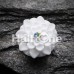 Charming Chrysanthemum Flower Single Flared Ear Gauge Plug