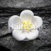 Adorable Hibiscus Flower Single Flared Ear Gauge Plug Adorable Hibiscus Flower Single Flared Ear Gauge Plug