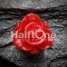Wild Rose Flower Blossom Single Flared Ear Gauge Plug