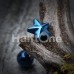 Blackline PVD Nautical Star Top Steel Barbell Tongue Ring