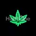 Glow in the Dark Cannabis Leaf Single Flared Ear Gauge Plug Glow in the Dark Cannabis Leaf Single Flared Ear Gauge Plug