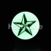 Glow in the Dark Nautical Star Single Flared Ear Gauge Plug