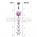 Twinkling Five Star Cubic Zirconia Belly Button Ring