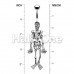 Skeleton Dance Belly Button Ring