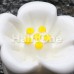 Adorable Hibiscus Flower Single Flared Ear Gauge Plug Adorable Hibiscus Flower Single Flared Ear Gauge Plug